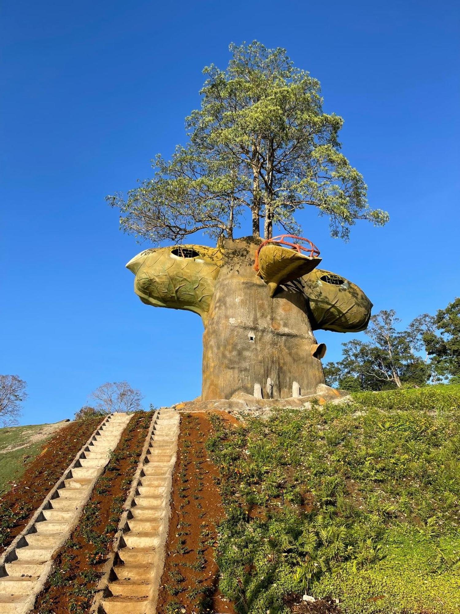 Dak G'Lung Bungalow Dak Buk So ภายนอก รูปภาพ